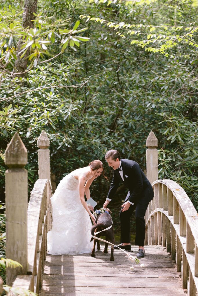 bride and groom play with their dog on a small footbridge overlooking the pond at old edwards inn