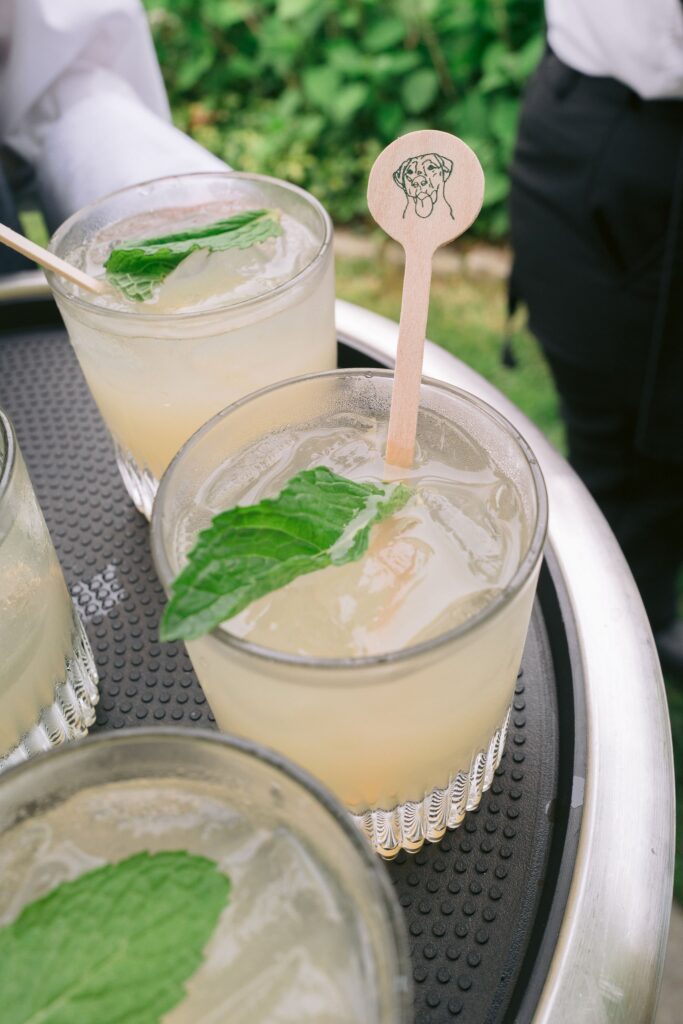cocktail glass with stirring spoon with dog graphic detail served at the farm at old edwards wedding