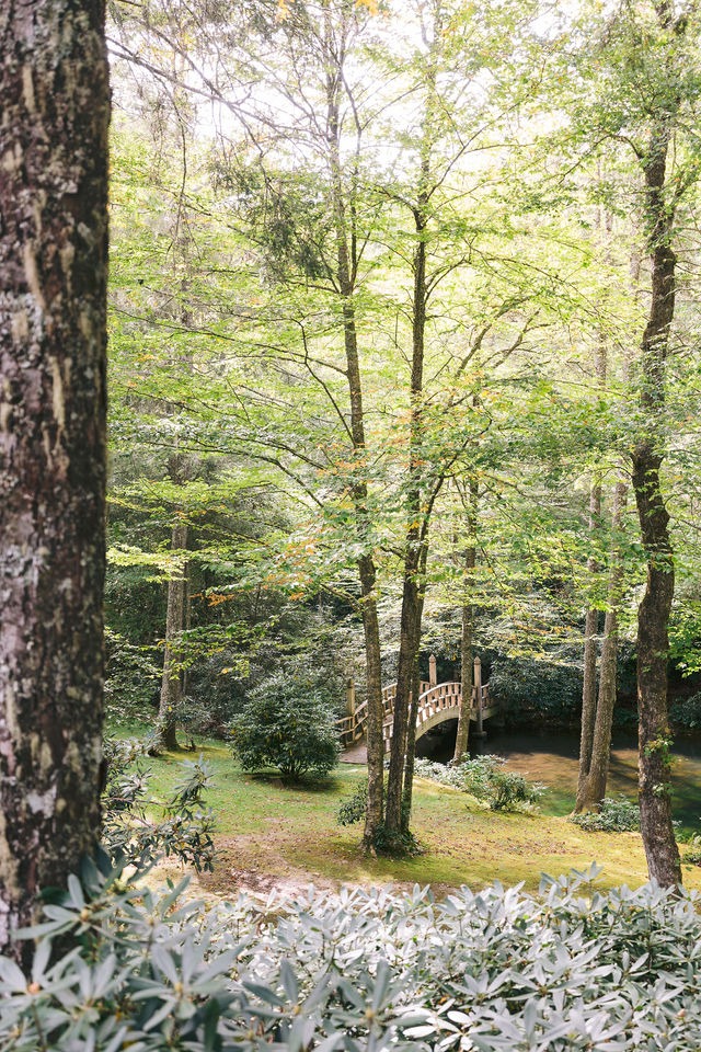 garden with greenery and trees at old edwards inn half-mile farm