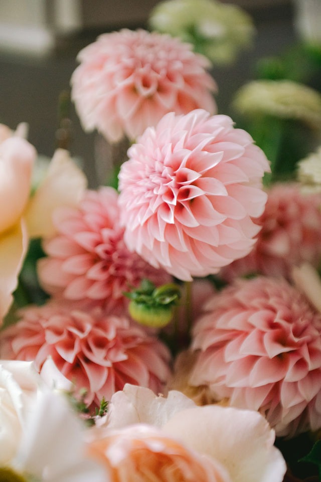 closeup of pink flowers as set up at a wedding venue in highlands nc