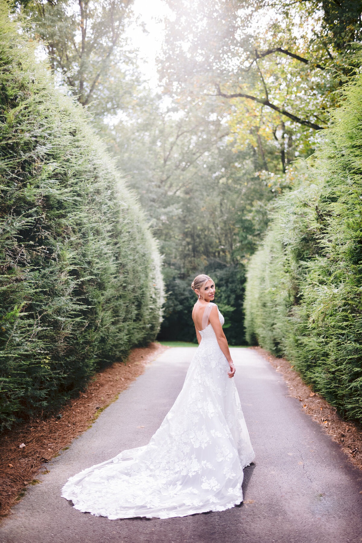 Bride in a lace wedding gown standing on a tree-lined path in the sunlight.
